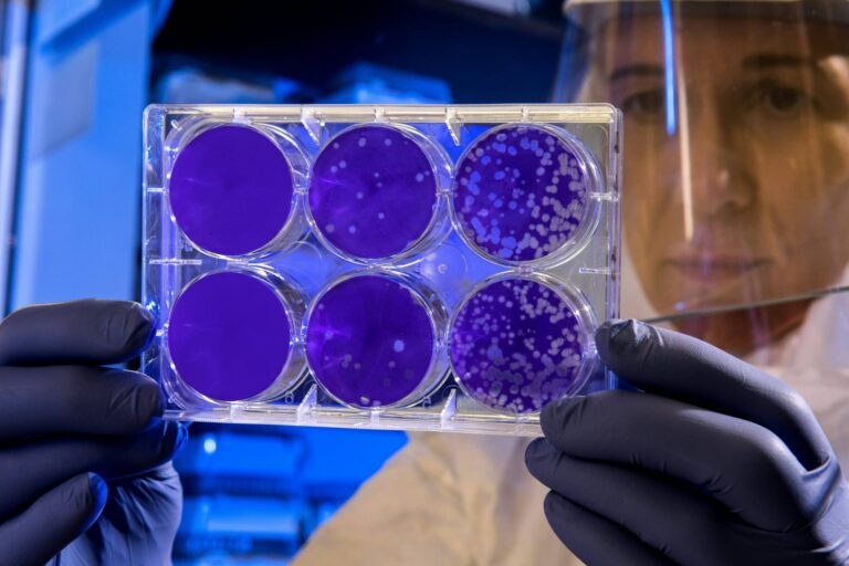 science behind nad featured NAD+与衰老背后的科学:为什么Synext能成为新一代选择