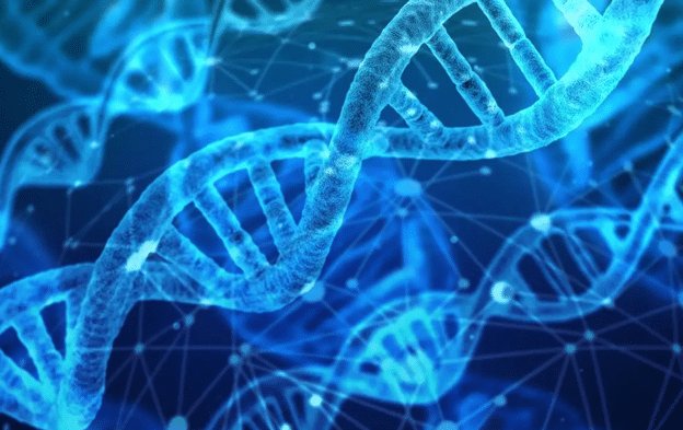想保持年轻光泽：NAD+补充剂如何由内到外支持皮肤状态