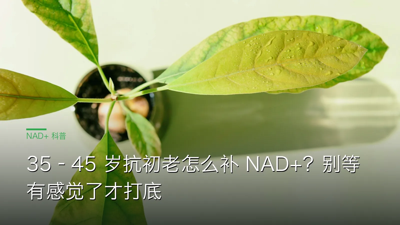 35-45岁抗初老怎么补 NAD+ 早打底与等感觉再追对比示意图
