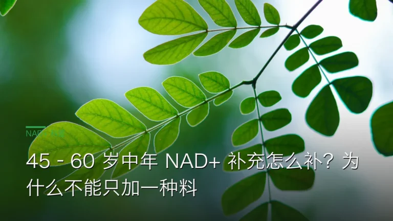 SY04645 60代谢期系统补 cover 20260612 45–60 岁中年 NAD+ 补充怎么补?为什么不能只加一种料