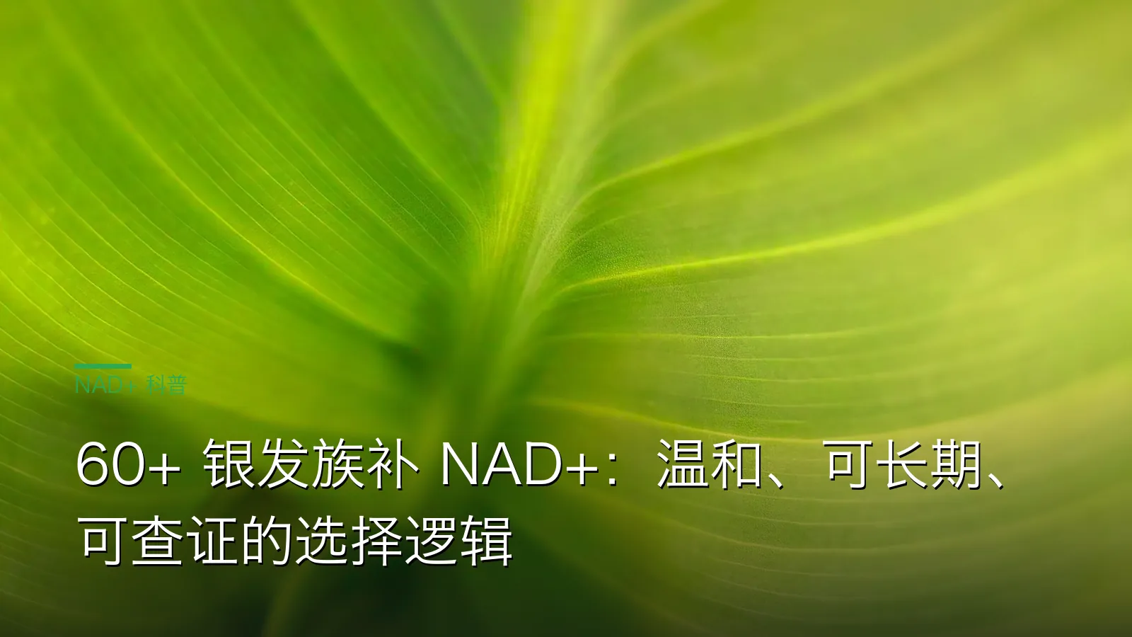 老年人 NAD+ 补充剂温和可长期可查证三点选择逻辑示意图