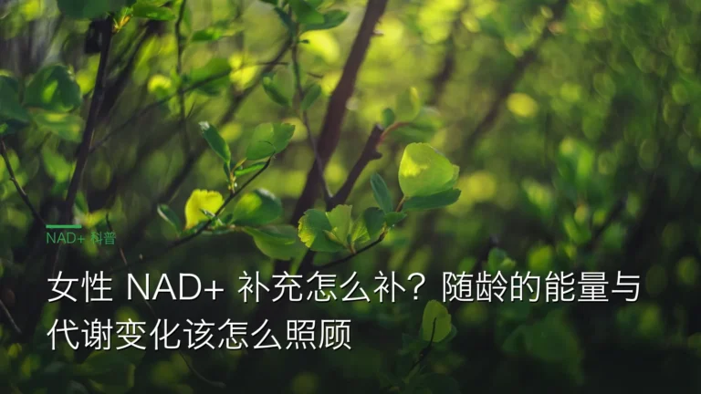 SY048女性NAD能量代谢 cover 20260612 女性 NAD+ 补充怎么补?随龄的能量与代谢变化该怎么照顾