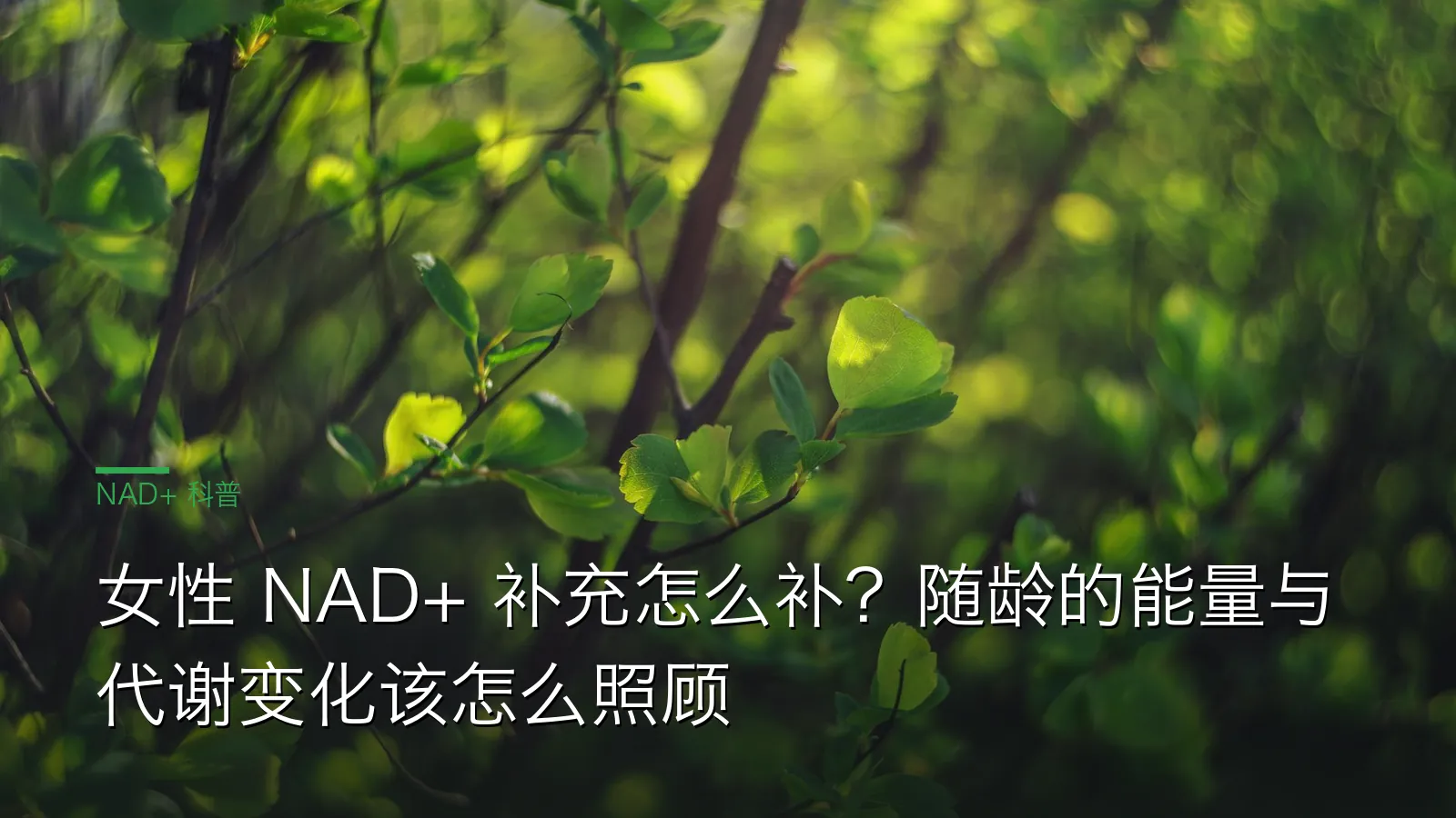 女性 NAD+ 补充与随龄能量代谢变化、三位一体系统思路示意图