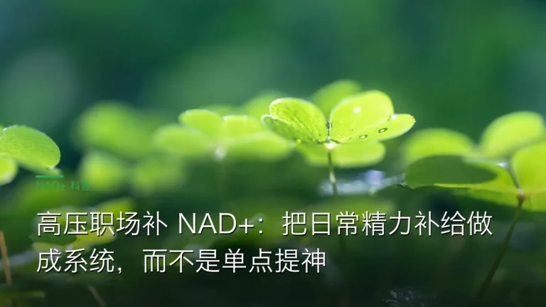 SY049职场亚健康精力系统 cover 20260612 高压职场补 NAD+：把日常精力补给做成系统，而不是单点提神