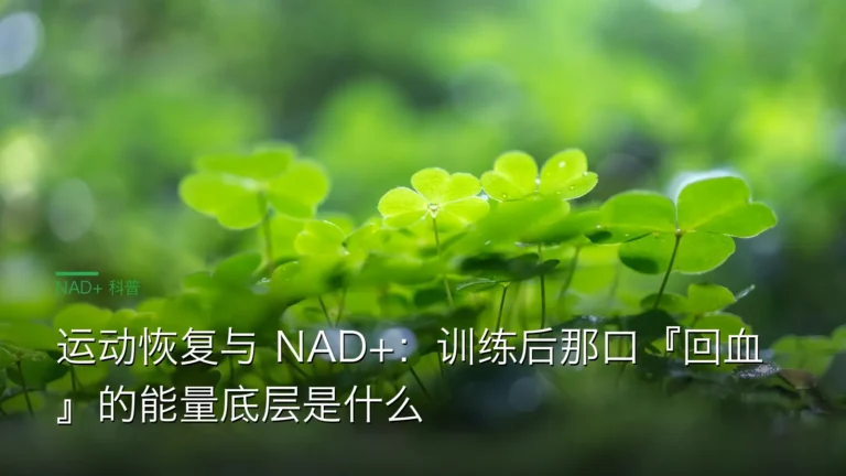 SY054运动恢复NAD线粒体 cover 20260612 运动恢复与 NAD+：训练后那口『回血』的能量底层是什么