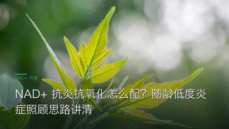 SY055NAD抗氧化抗炎 cover 20260612 NAD+ 抗炎抗氧化怎么配？随龄低度炎症照顾思路讲清