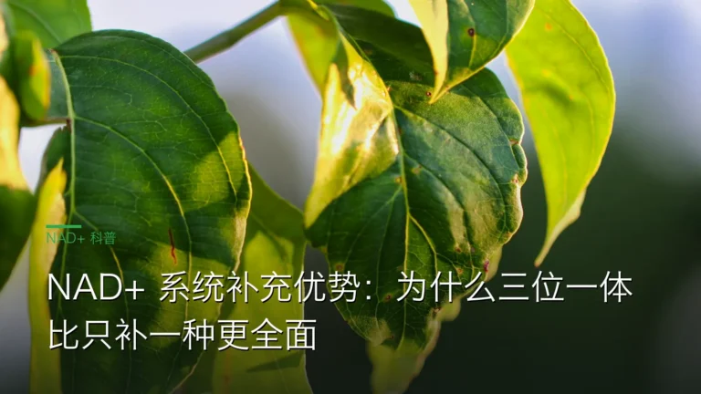 SY056系统补充vs单一前体 cover 20260612 NAD+ 系统补充优势：为什么三位一体比只补一种更全面