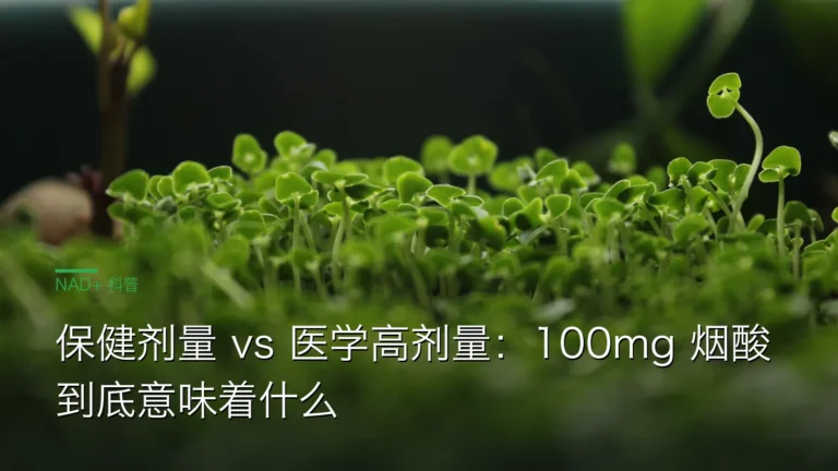 SY058保健vs医学剂量烟酸 cover 20260613 保健剂量 vs 医学高剂量：100mg 烟酸到底意味着什么