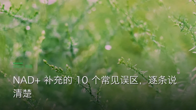 SY059NAD补充10误区 cover 20260613 NAD+ 补充的 10 个常见误区,逐条说清楚