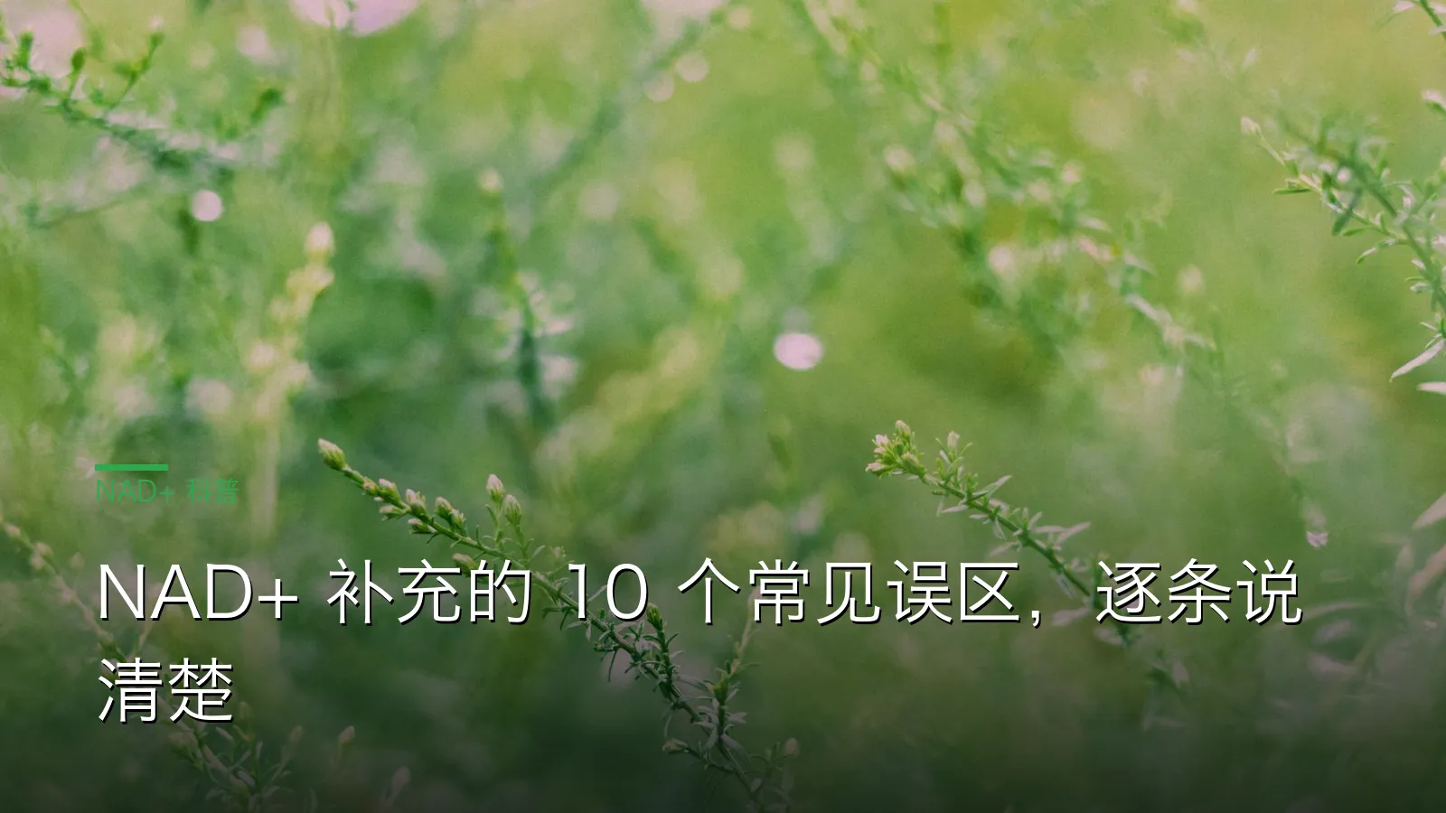 NAD+ 补充 10 个常见误区逐条辟谣对照示意图