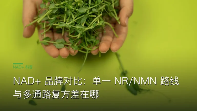 SY060国际NAD品牌横评 cover 20260613 NAD+ 品牌对比:单一 NR/NMN 路线与多通路复方差在哪