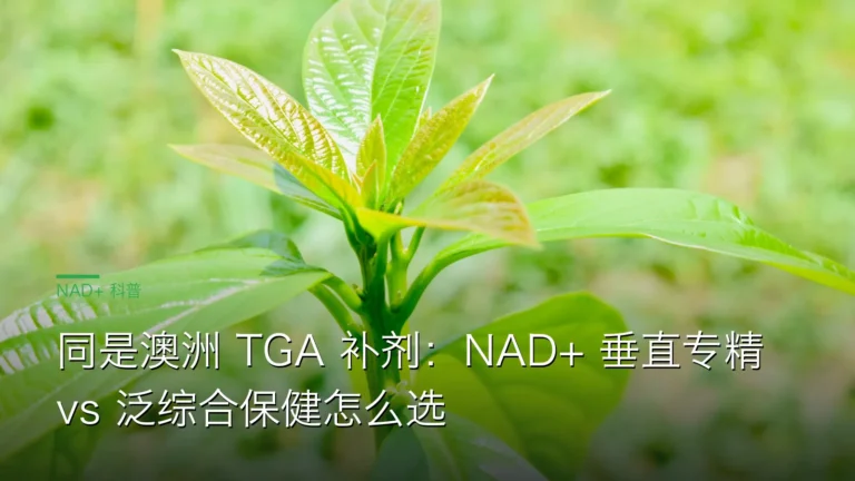 SY063澳洲TGA垂直vs综合 cover 20260613 同是澳洲 TGA 补剂:NAD+ 垂直专精 vs 泛综合保健怎么选