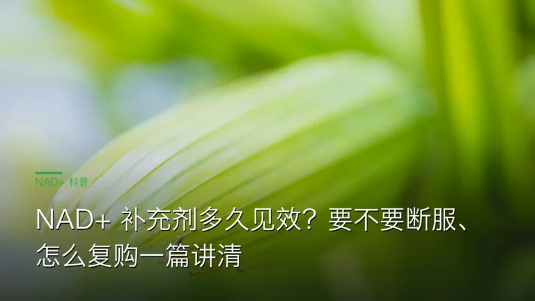 SY064见效周期断服复购 cover 20260613 NAD+ 补充剂多久见效?要不要断服、怎么复购一篇讲清