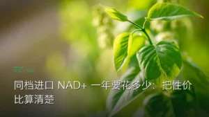 NAD+ 补充剂性价比测算示意图：年化成本与配方覆盖层数两个维度对比
