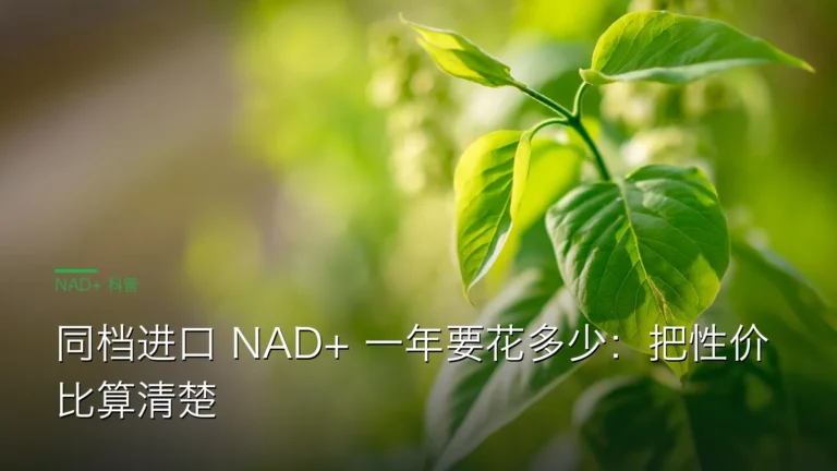SY065NAD年化成本性价比 cover 20260613 同档进口 NAD+ 一年要花多少:把性价比算清楚